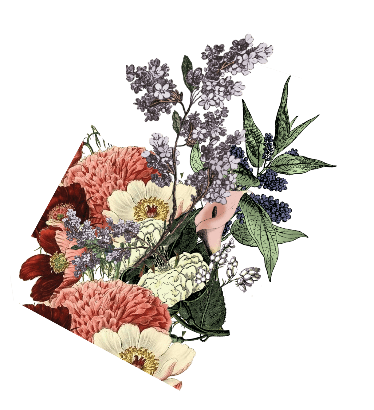 Hendrick's Midsummer Solstice Gin - Floral - Hendrick's Gin
