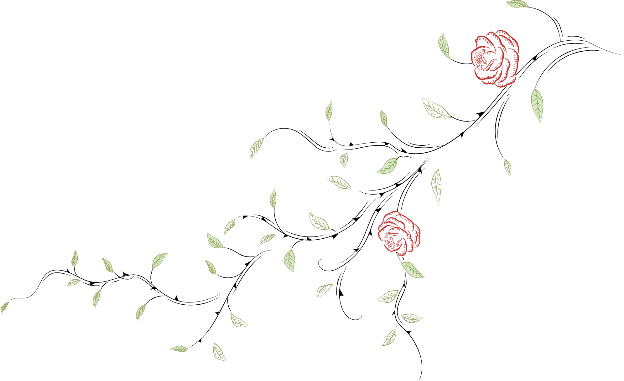 Branch illustration