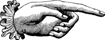 SCROLL TO EXPLORE