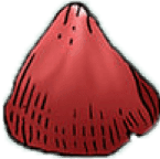 Petal Shape